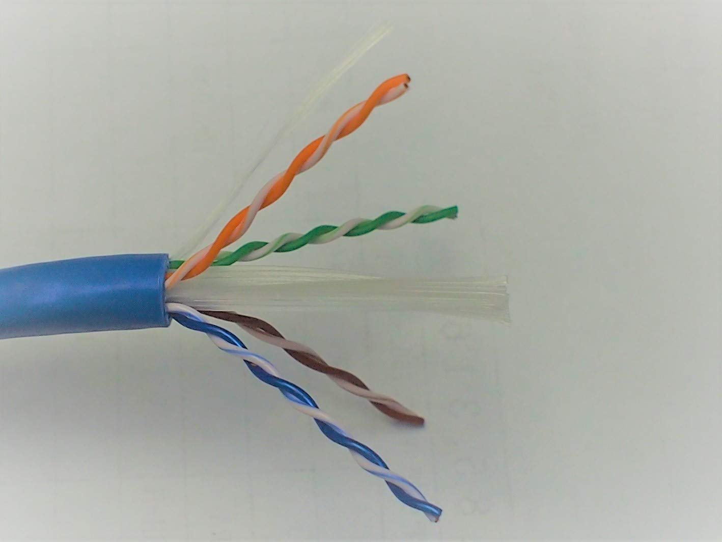 Amazon | CAT.6A LANケーブル UTP 10G 305m 標準規格品 青